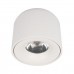 10219 White 4000K Потолочный светильник LOFT IT Tictac