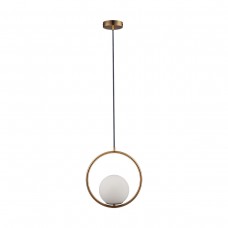 LOFT2600-A Подвесной светильник LOFT IT Glob