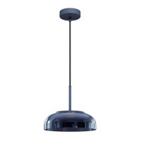 8210-P Grey Подвесной светильник LOFT IT Disk