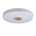 10003/24 White Потолочный светильник LOFT IT Axel