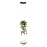 10121/1P Dark grey Подвесной светильник LOFT IT Jardin 10121/1P Dark grey Подвесной светильник LOFT IT Jardin