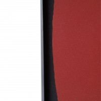 Декоративная картина FP Wings 80-120 Декоративная картина FP Wings 80-120