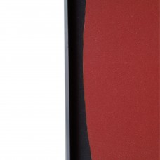 Декоративная картина FP Wings 80-120