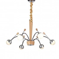 Lucia Tucci Natura 155.6