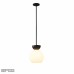 Светильник потолочный iLamp Mono P6079-1 BK+WH