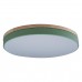 10001/36 Green Потолочный светильник LOFT IT Axel