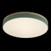 10001/36 Green Потолочный светильник LOFT IT Axel