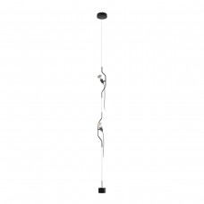 10346/2 Black Подвесной светильник LOFT IT Parentesi