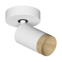 Накладной светодиодный светильник Ledron SAGITONY R1 S60 Dim Wooden White Накладной светодиодный светильник Ledron SAGITONY R1 S60 Dim Wooden White
