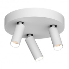 Накладной светодиодный светильник Ledron SAGITONY R3 S40 Dim White