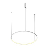 Подвесной светодиодный светильник LED ROUND R600 Brushed Gold Подвесной светодиодный светильник LED ROUND R600 Brushed Gold